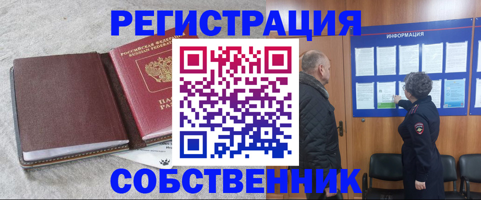 временная регистрация надежно в Камышлове